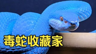 网友展示自家的毒蛇收藏，果然越危险的东西越迷人啊...