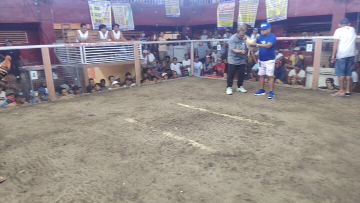 Fastest kill 10:71 second #valora cockpit  roxas oriental mindoro #wpc #sabongnation #sabongislife
