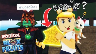 ผลปีศาจอะไร...ฟามดีที่สุดในโลก !! Roblox [🐯🍩 อัพเดต] Blox Fruits