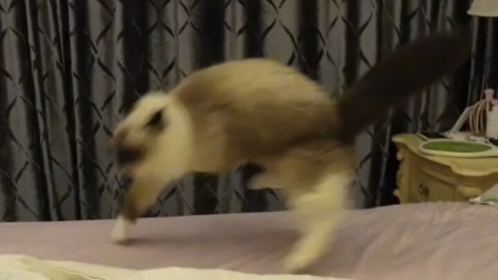 Triệu chứng này còn chữa được không?