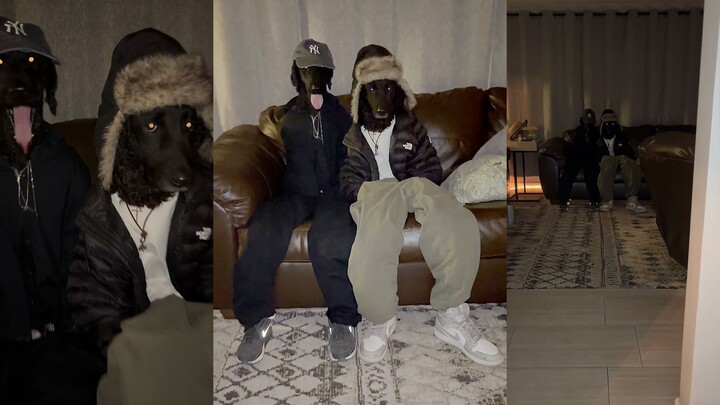 Hello, we’re the Black Dog Brothers—super cool, of course!