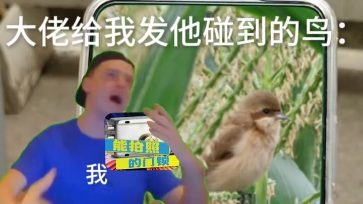 Khi cơn nghiện chim Sẻ của cao thủ ập đến…