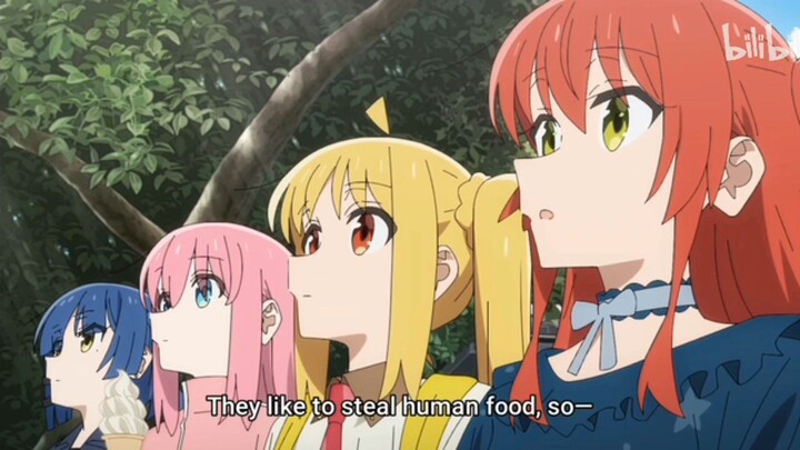 Bocchi the rock (get bullying by birds)