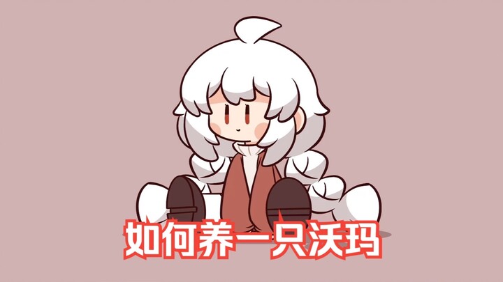 【วาร์มา】เลี้ยงวาร์มาอย่างไรดี?