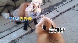 “委屈小乃琳在线撒娇”