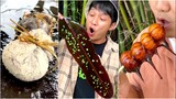 Những món ăn và cuộc sống rừng núi Trung Quốc P51|| TikTok Trung Quốc || Xiên cam cháy đường