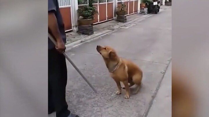 Mirip sekali denganku yang pulang dari warnet dulu (Malu)