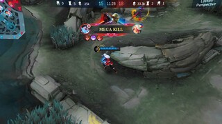 The roamer everyone deserves