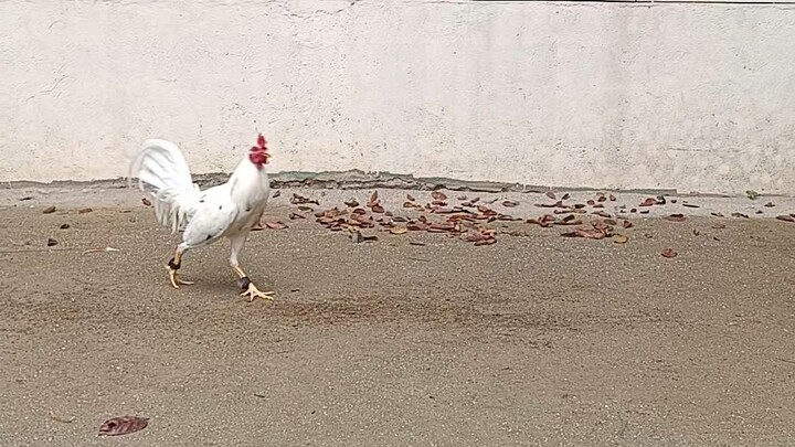 7months old exercise muna unang bitaw