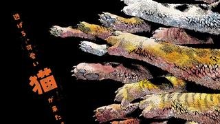 【2025年】活死喵之夜 特报PV【MCE汉化组】