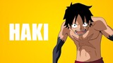 Pengertian dan Jenis Haki di One Piece
