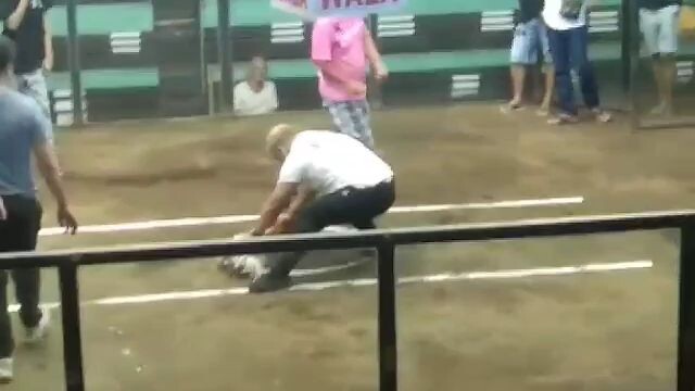 sweater in action laban nmin s arcontica  win win