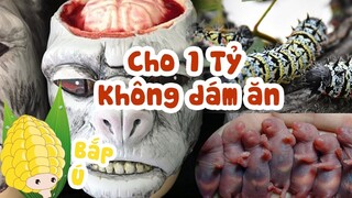 Top 10 Món Ăn Kinh Dị Nhất Thế Giới - Cho 1 Tỷ Không Dám Ăn | Bắp Ú