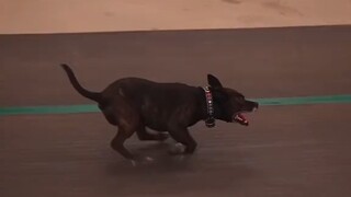 The value of the last stick