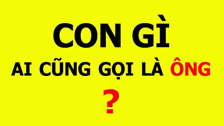 19 câu đố mẹo ngắn nghe rất vô lý nhưng cực kì thuyết phục- Phần 2