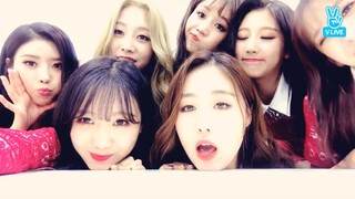 171122 종소리 첫방 오께이 최초공개할게요!!!!!