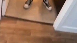 Đúng là một con chó cứng đầu!