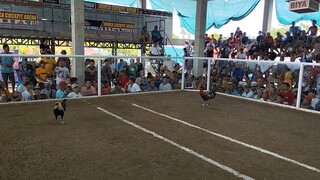 panalo na sana nasilat pa sayang minalas