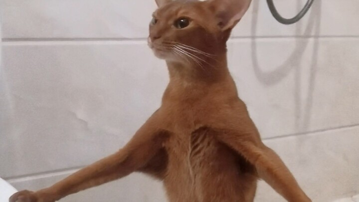 I’ve been taking care of her for three years, and she’s already regressed…