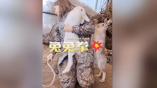 خذ مني لكمة الأرنب! 💥💥💥