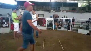 white Kelso 2nd win.