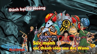 Đánh bại Tứ Hoàng, Băng Mũ Rơm đạt được những gì ở Wano?