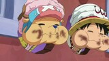 [One Piece Luffy/Healing] Ular lucumu Luffy sedang online, silakan lihat