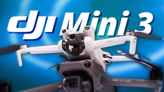Cấu hình cao cấp với mức giá thấp? DJI biết rõ phiên bản dành cho giới trẻ! Trải nghiệm Mini 3 và Ma