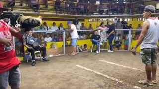 laban namin ngaun 3hits 1 win 1 loss 1 draw kuha lahat