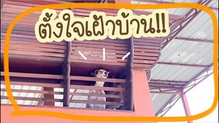 โลกของแสนดี ตอน 1 วันของแสนดี