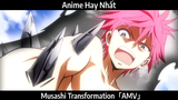Musashi Transformation AMV Hay Nhất