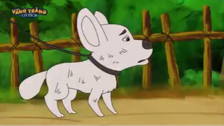 XIN ĐỪNG ĂN THỊT CHÓ