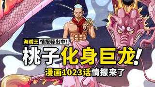 海贼王1023话情报来了！山治与烬一族的能力有关？索隆身世关联霜月家？这一话是认亲时间！