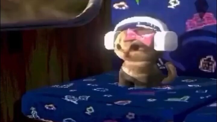 Cat vibing to song!!!!!!!!