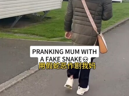 Kenjin GV (So Many Snakes)