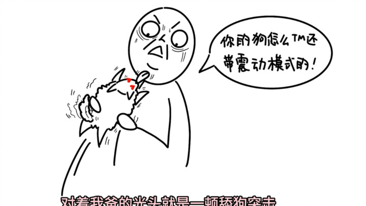 我爸本来不同意我养狗的…