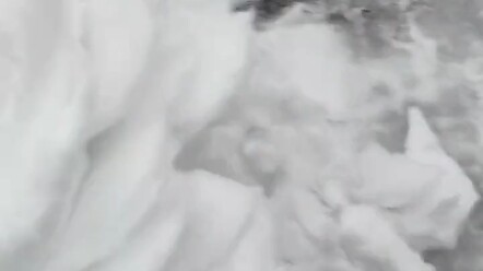 Such a Huge White Lotus!