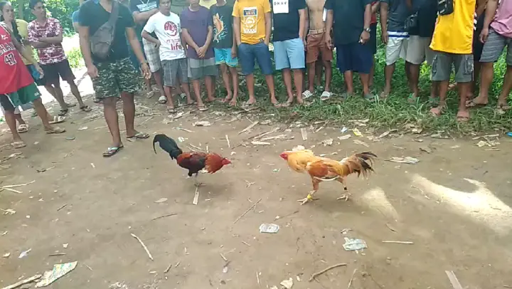 Bumaon Sa Lupa Yung Tari Bilibili