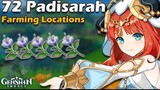 All 72 Padisarah Farm Route Locations ( Lokasi Farming Padisarah ) Genshin Impact 3.0 Sumeru