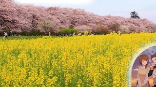 【Wisata Tanah Suci】Re:0 Hidup di dunia yang berbeda dari awal