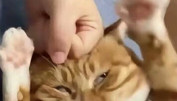 Laughed so hard—gotta do three little tugs before I can sleep | A compilation of cringeworthy and hi