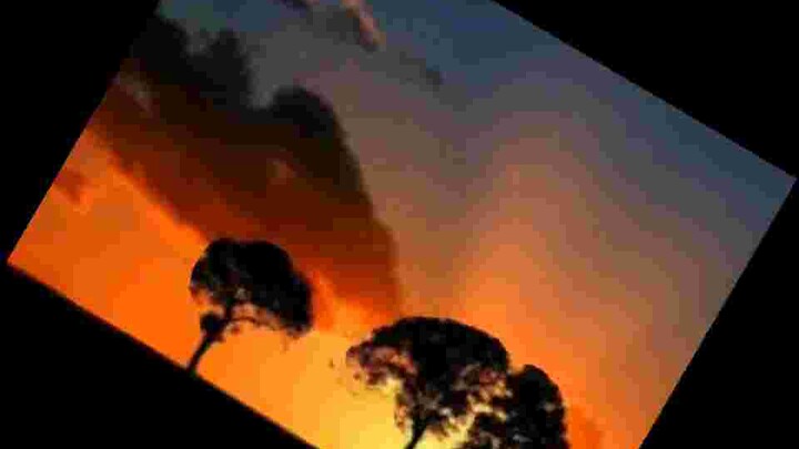 TikTok Càfe không đường