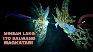 ep190,MINSAN LANG ITO DALWANG MAGKATABING CUTTLEFISH, night spearfishing Philippines