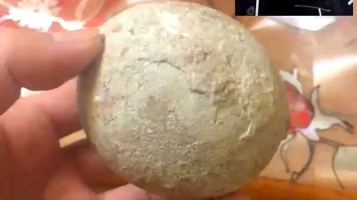 Hóa thạch bí ẩn, rốt cuộc là thứ gì...