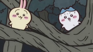 Phụ đề tiếng Trung tự làm của Chiikawa Chap 184 "Sự cố đêm ③"