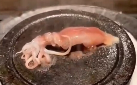 He actually saluted me!