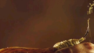 荒野求生的天花板，一人一狗流浪异星