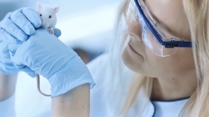Why Do scientists Always Test on mouse ?