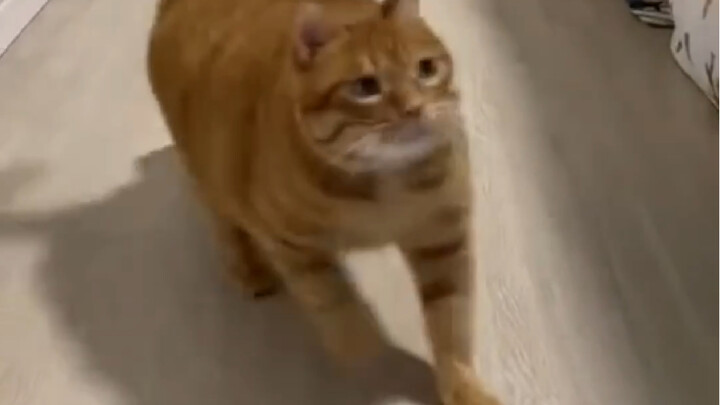 The ground is so slippery!