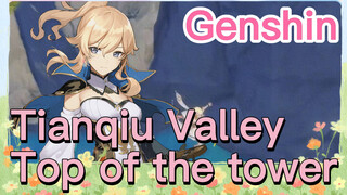 Tianqiu Valley Top of the tower